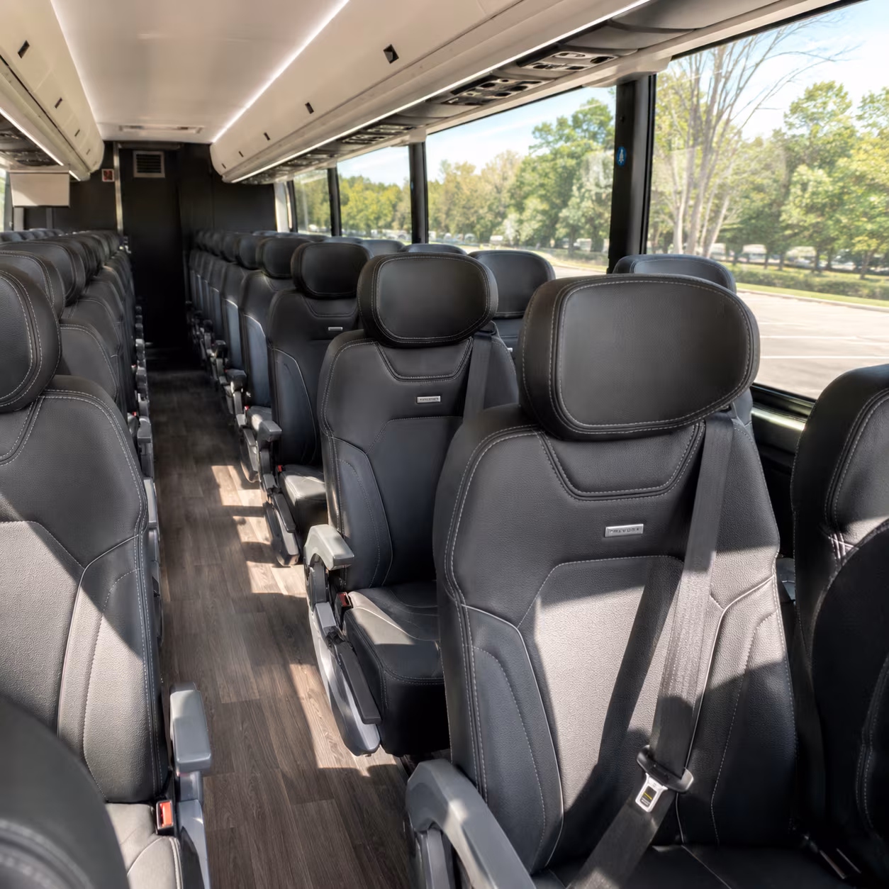 long beach wine tour brewery transportation onboard seating